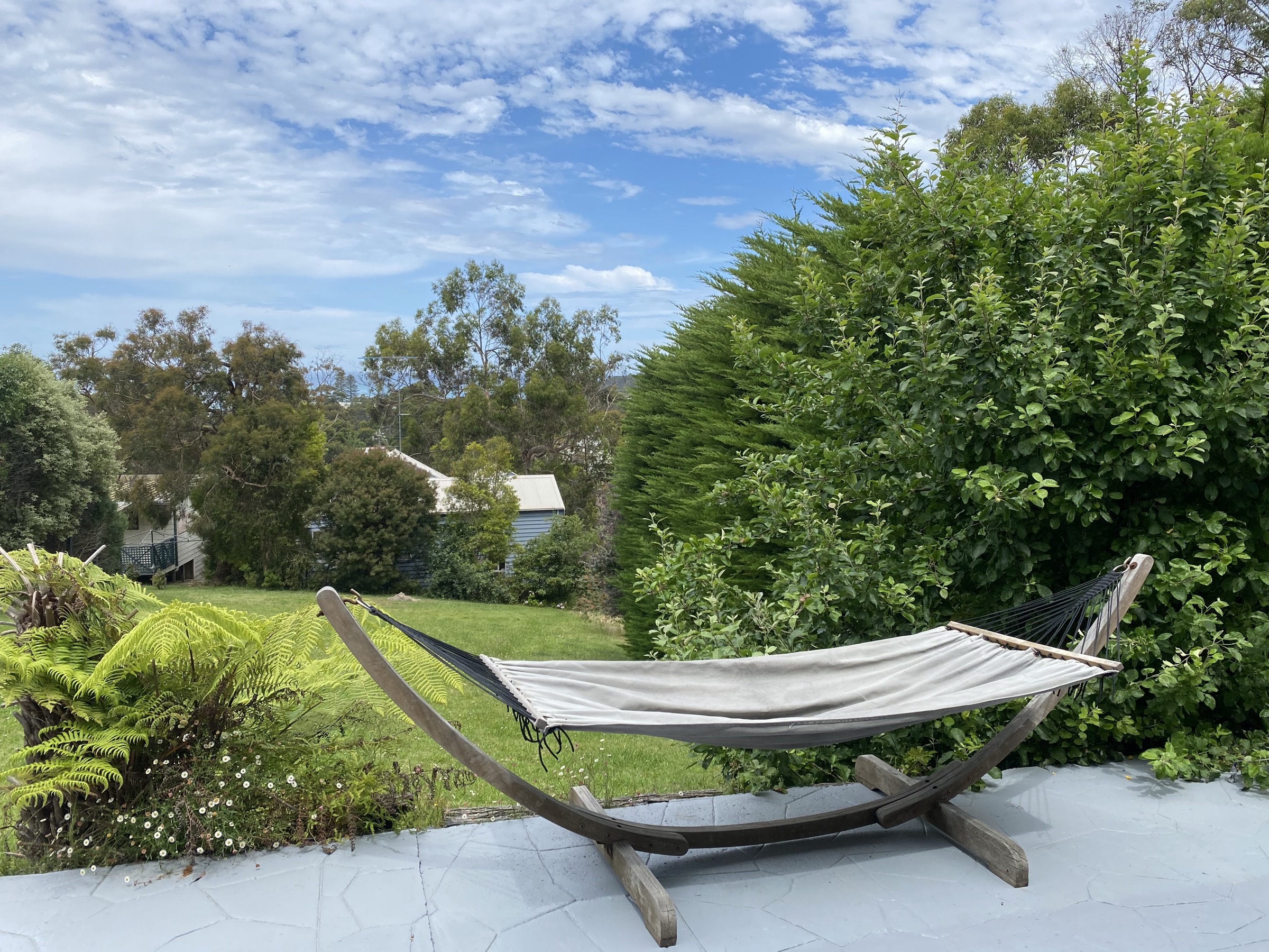 Back garden