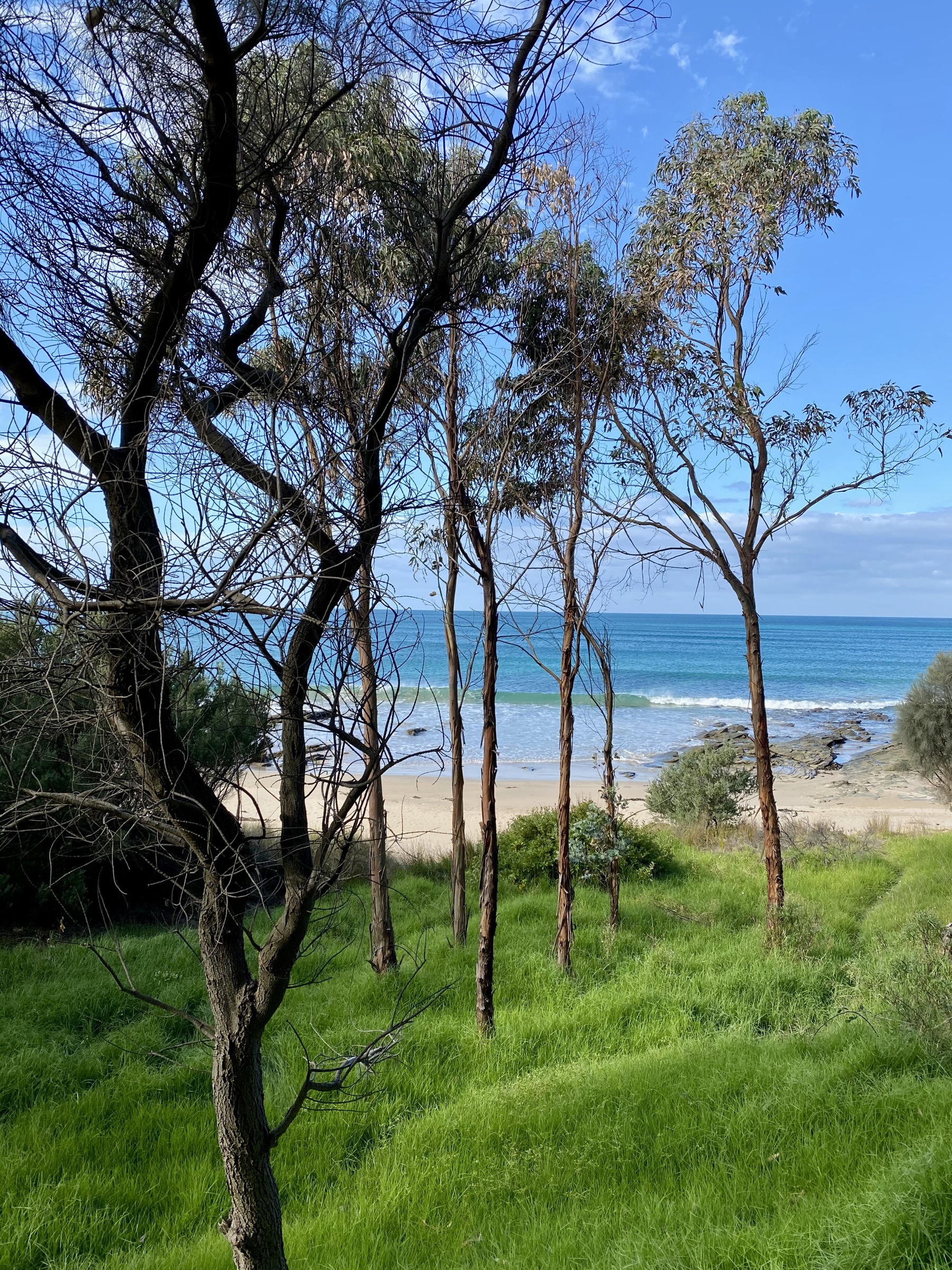 Lorne beach view