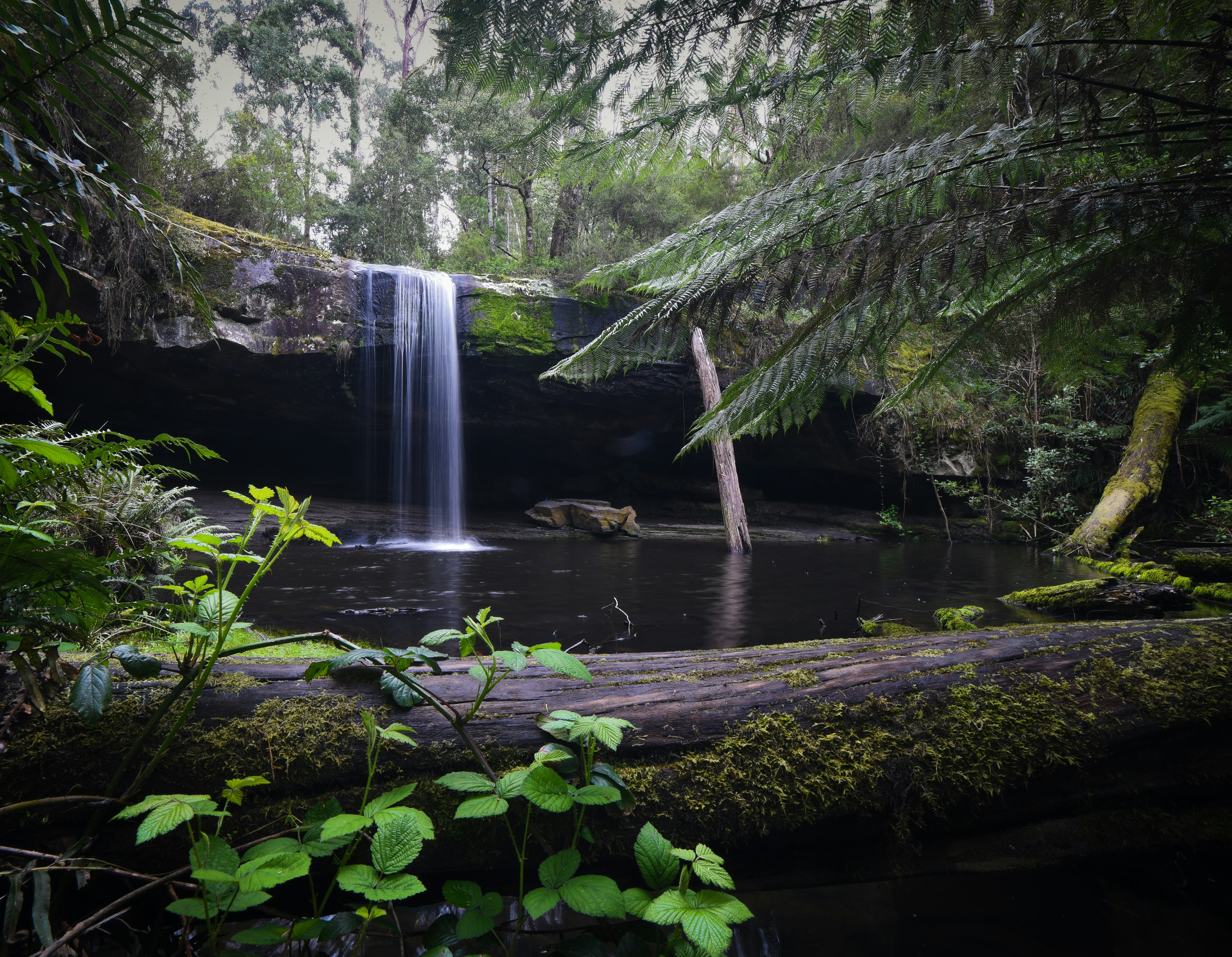 Erskine Falls